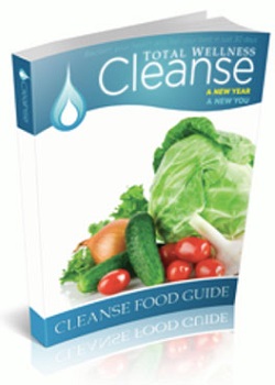  The Cleanse Food Guide